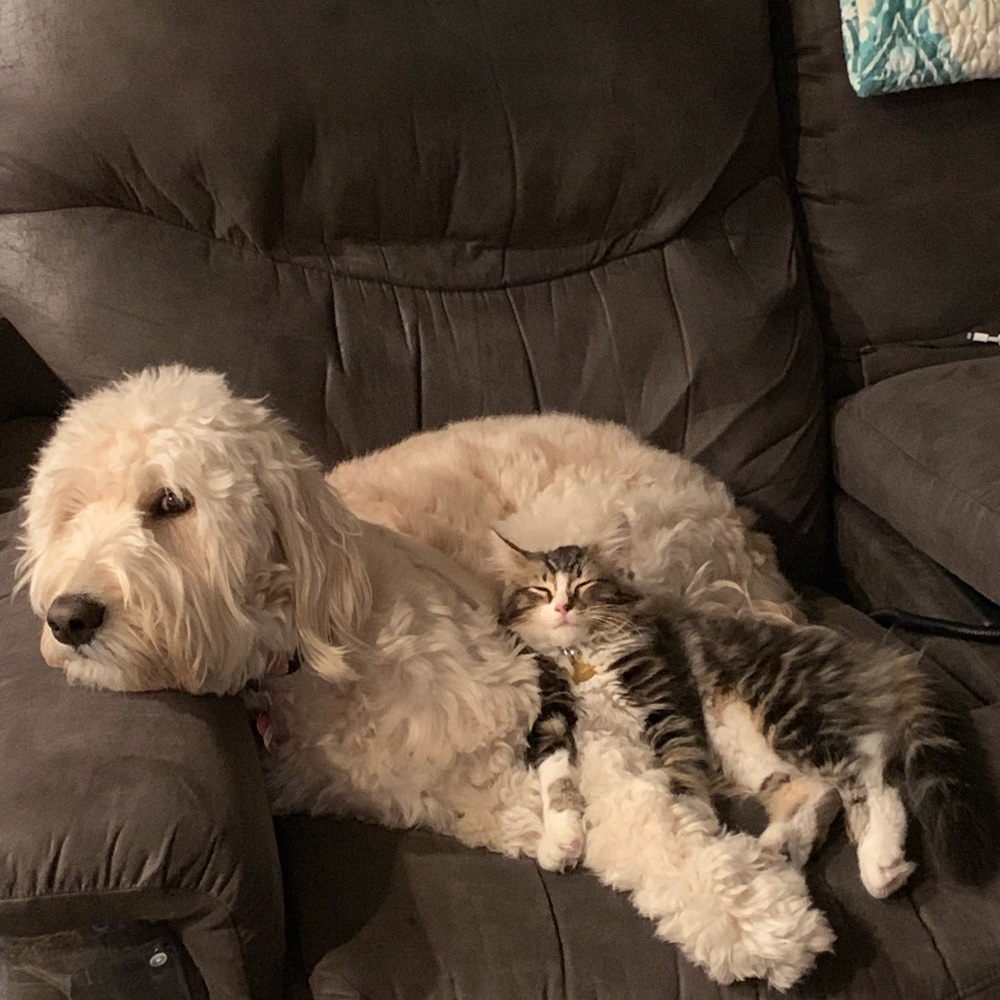 Meet your Posher, Aubrey